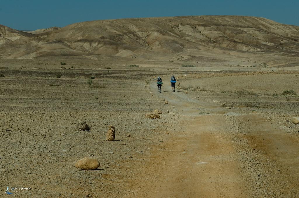 Desert Picture Arad Extérieur photo